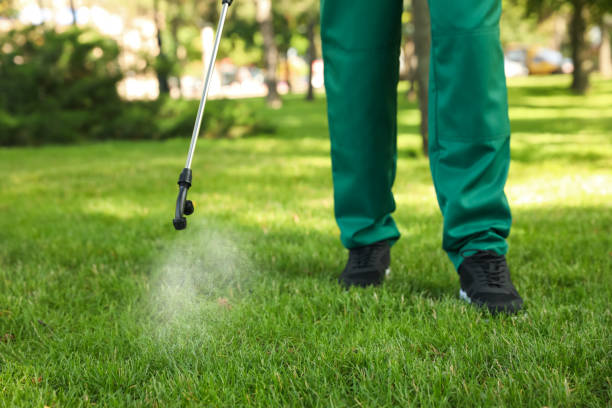 Reliable Holmes Beach, FL Pest Control Solutions