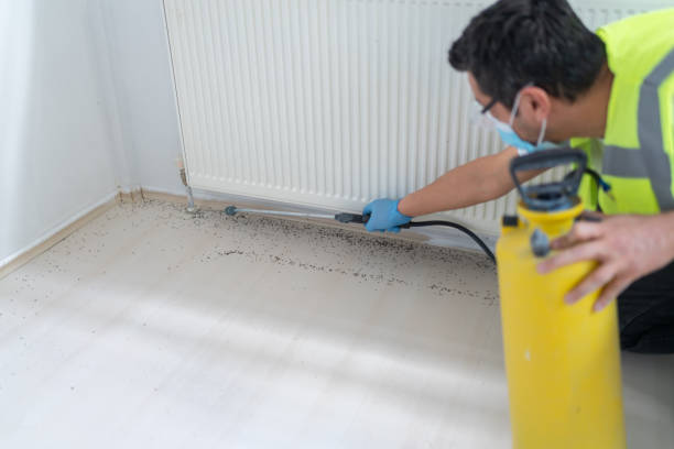 Best Pest Prevention Services  in Holmes Beach, FL