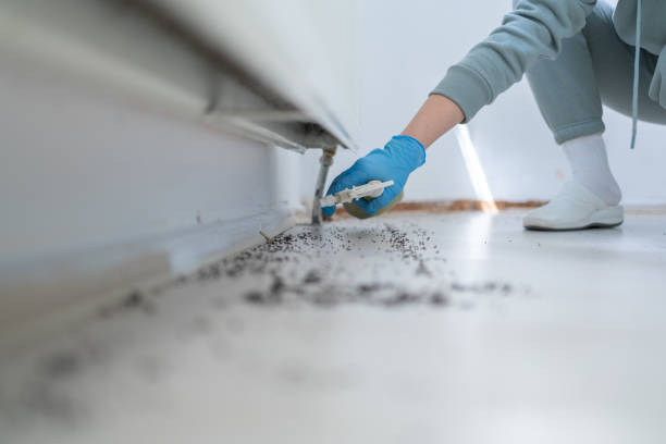 Best Residential Pest Control  in Holmes Beach, FL